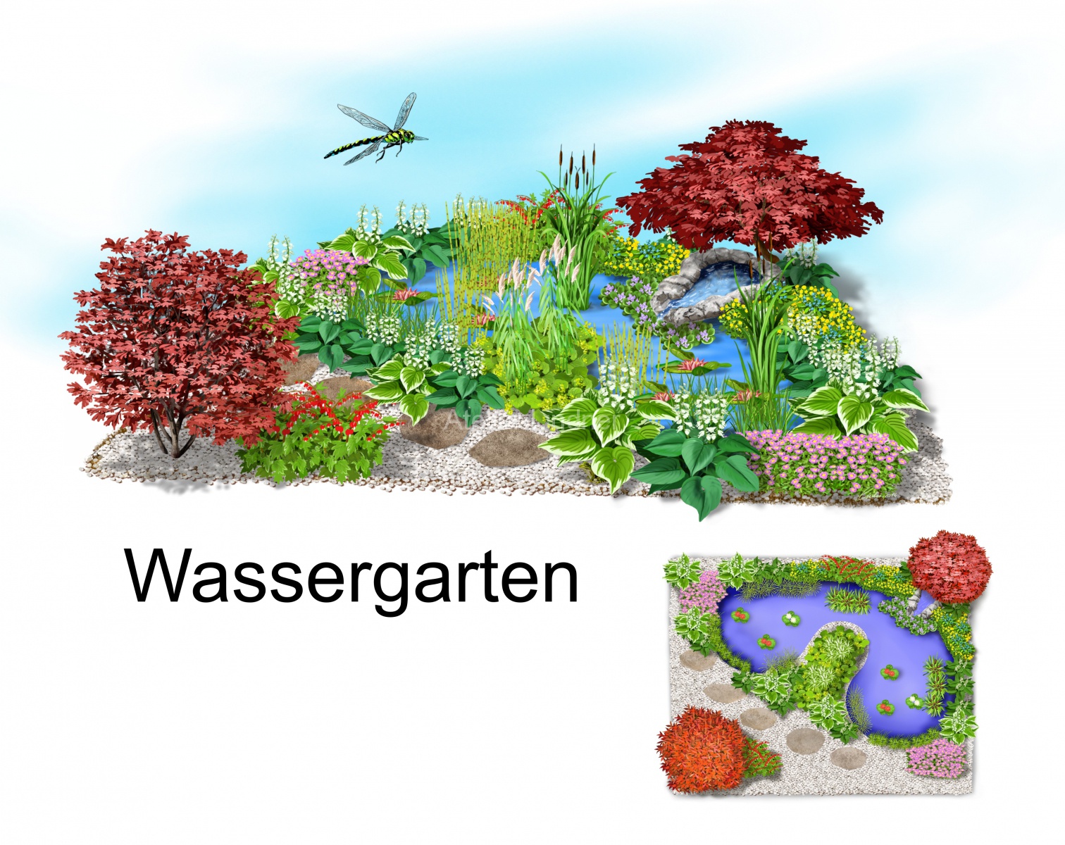 wassergarten